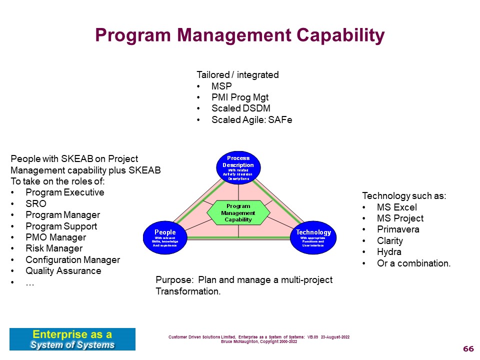 Program Management Capability