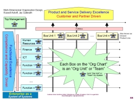 Two Dimensional Organization Structure